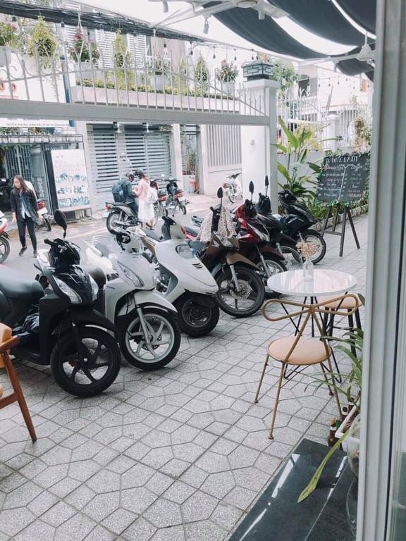 MIDMOST Villa Hotel - 16