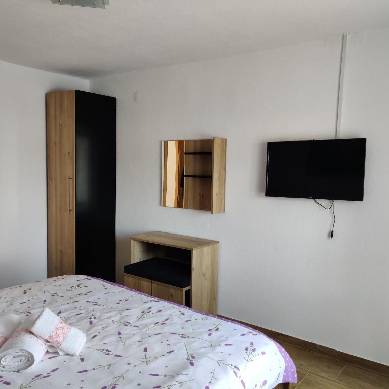 Televízia a/alebo spoločenská miestnosť v ubytovaní Guest House Šapina