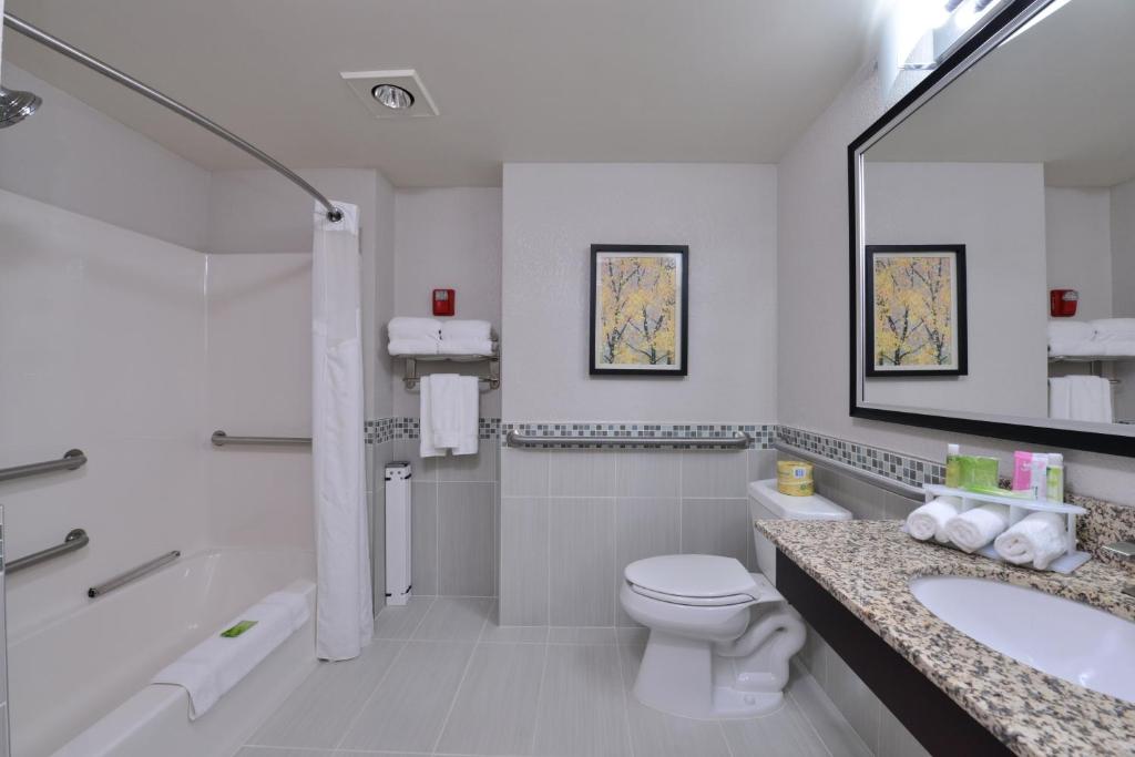 Holiday Inn Express Hotel & Suites Milwaukee-New Berlin by IHG - Suite Con Vasca Per Ospiti Disabili - Non Fumatori