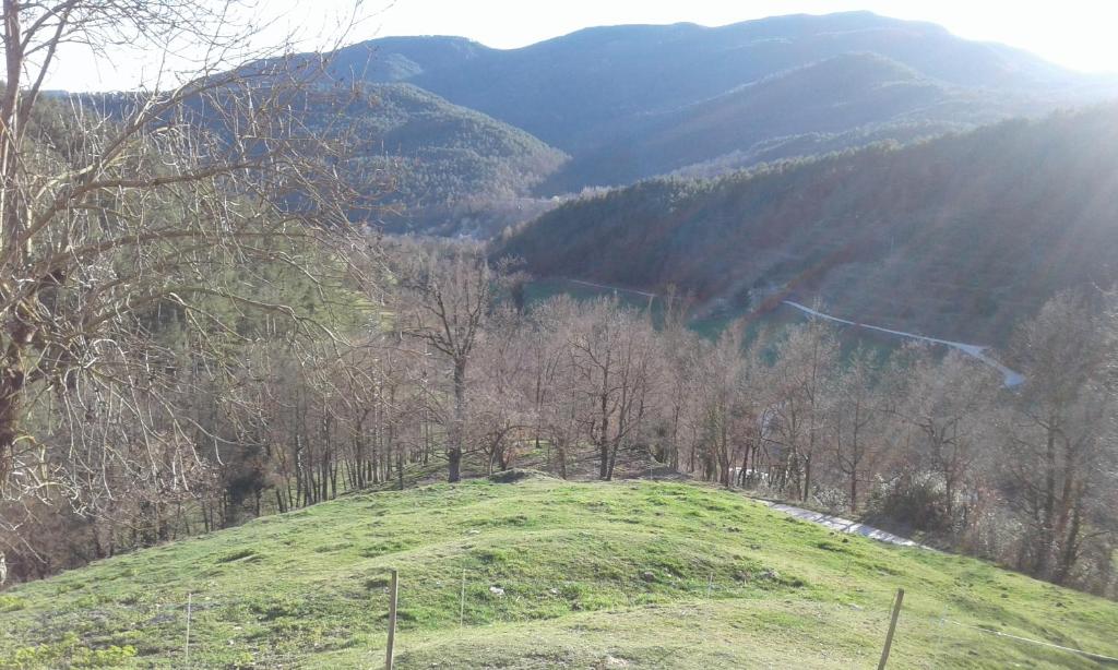 Příroda nedaleko apartmánu