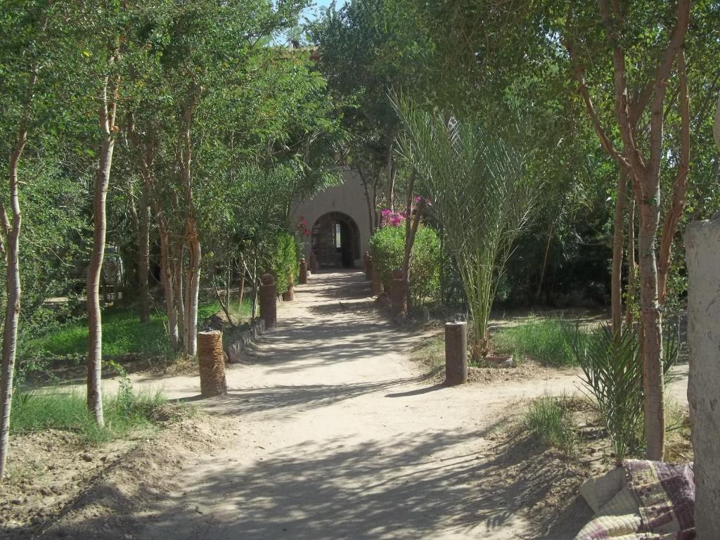 un chemin à travers un parc arboré et un tunnel dans l'établissement Nour El Balad, à Louxor