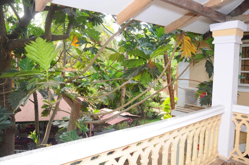 Zahrada ubytování Palolem Guest House