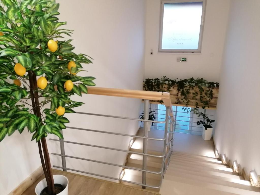 Agro Complex Apartments - Resim 36