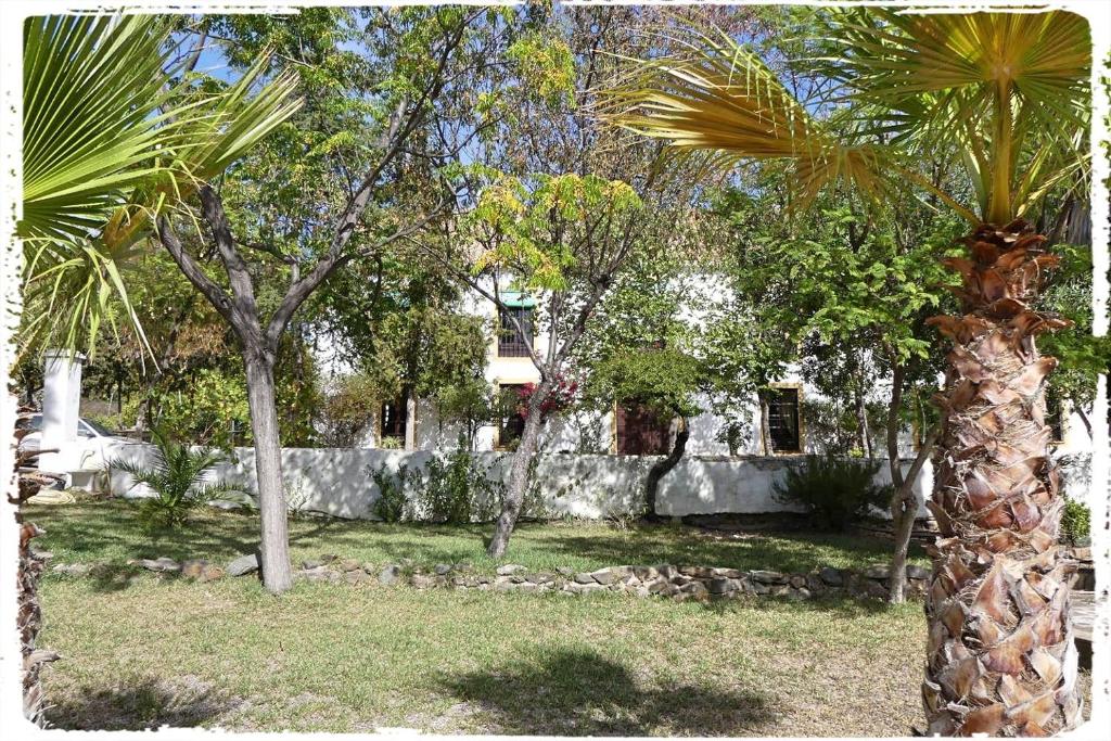 Vonkajšia záhrada v ubytovaní Cortijo Casas Viejas