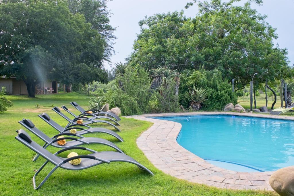 a row of lawn chairs next to a swimming pool at Chrislin African Lodge in Addo