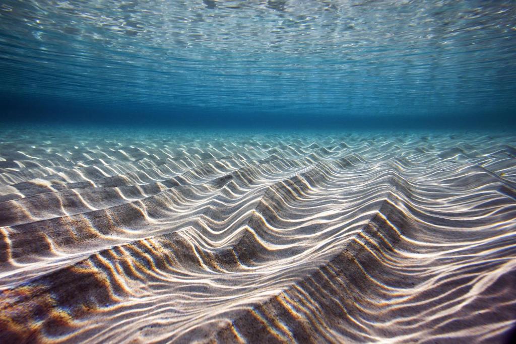 Plage de la maison de vacances ou situ&eacute;e &agrave; proximit&eacute;