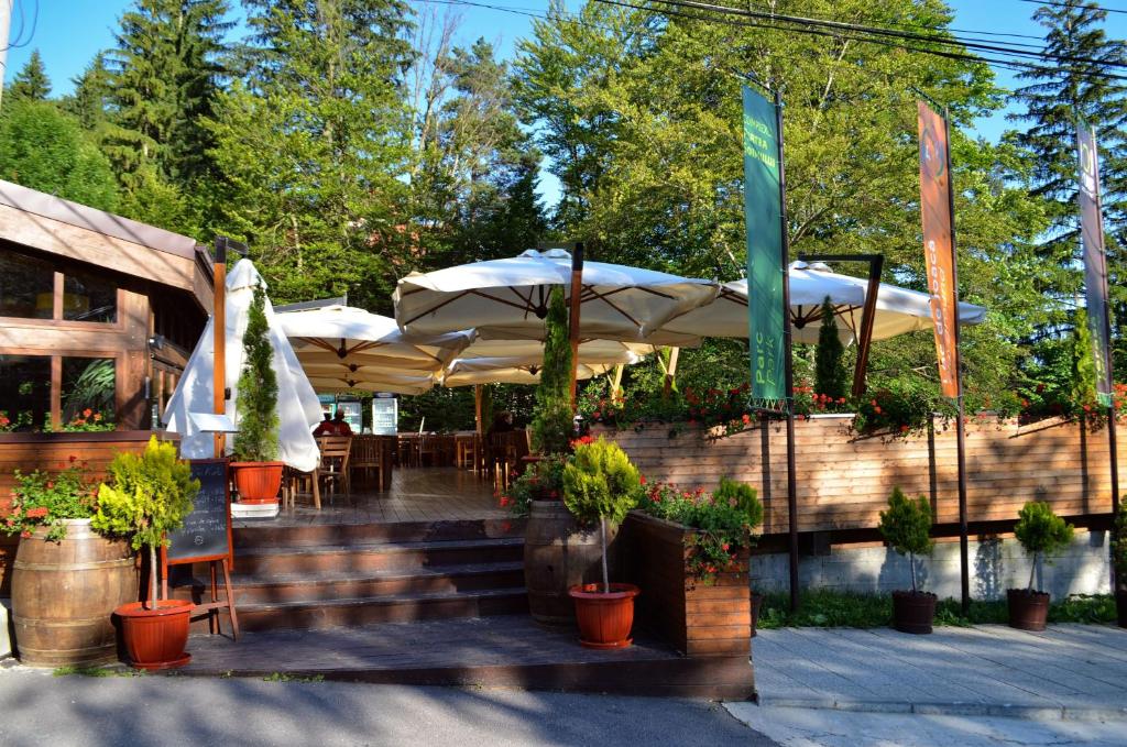 Zahrada ubytování Hotel Piatra Soimului