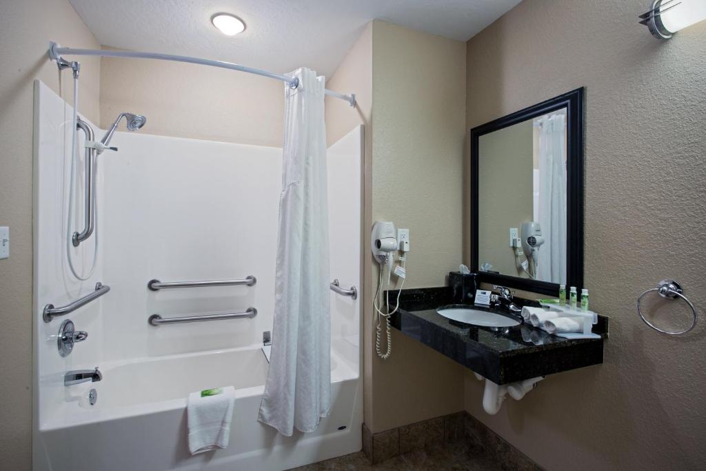 a bathroom with a shower and a sink and a shower at Holiday Inn Express & Suites - Green Bay East by IHG in Green Bay