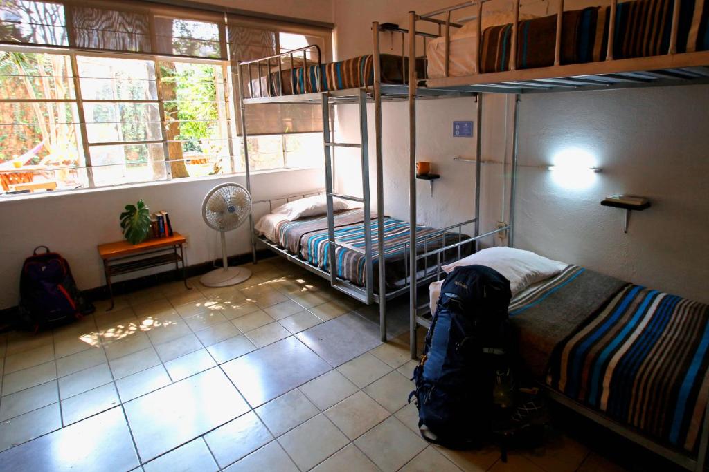 Postel nebo postele na pokoji v ubytování Hostel Hospedarte Chapultepec