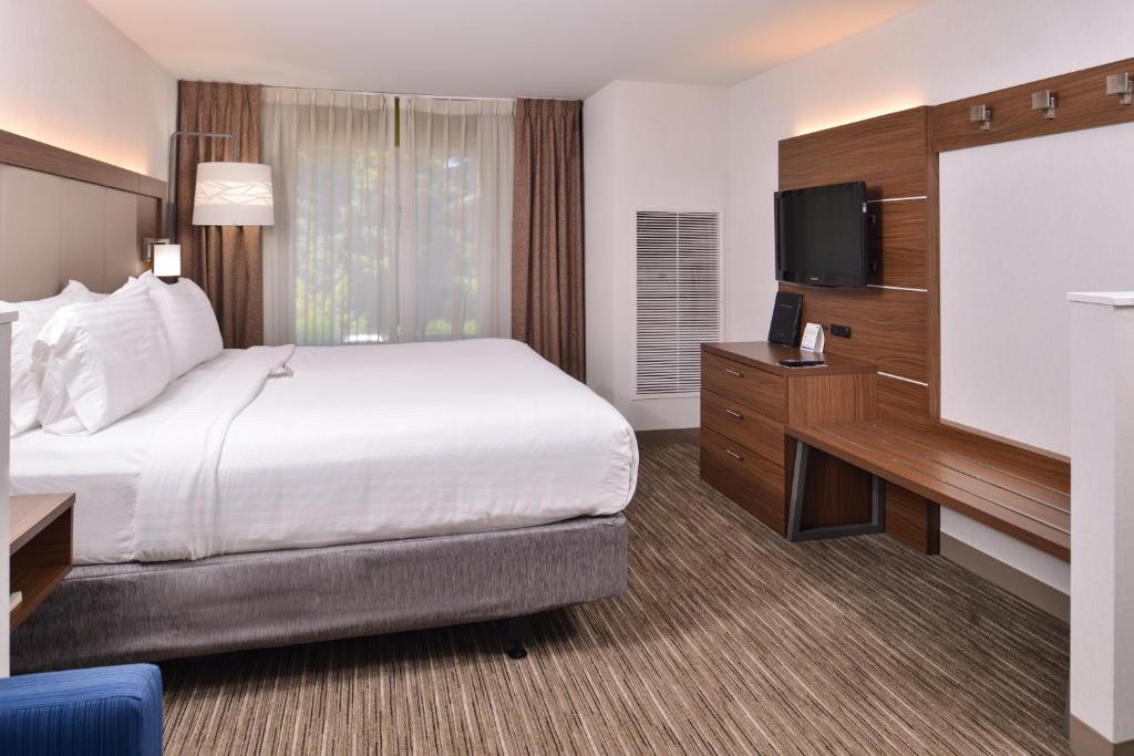 Holiday Inn Express & Suites Lacey - Olympia by IHG - Suite Lit King-Size