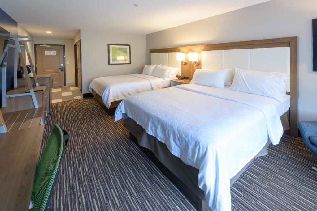 Holiday Inn Express & Suites Jamestown by IHG - Suite Doppia
