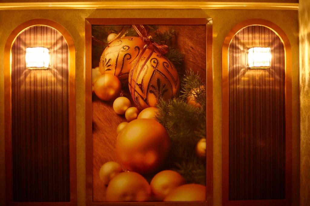 Fotografie z fotogalerie ubytování Hotel Christmas (Leisure Hotel) v destinaci Inazawa