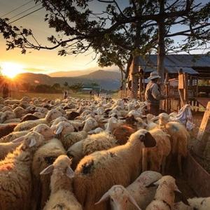 Derechos de imagen reservados por Booking.com