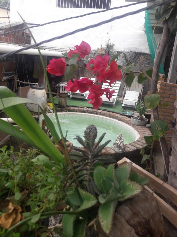  Casa do farol de olinda