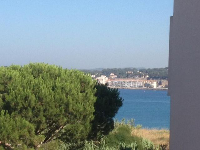 a view of a body of water with a tree at Appartement vue mer in Six-Fours-les-Plages