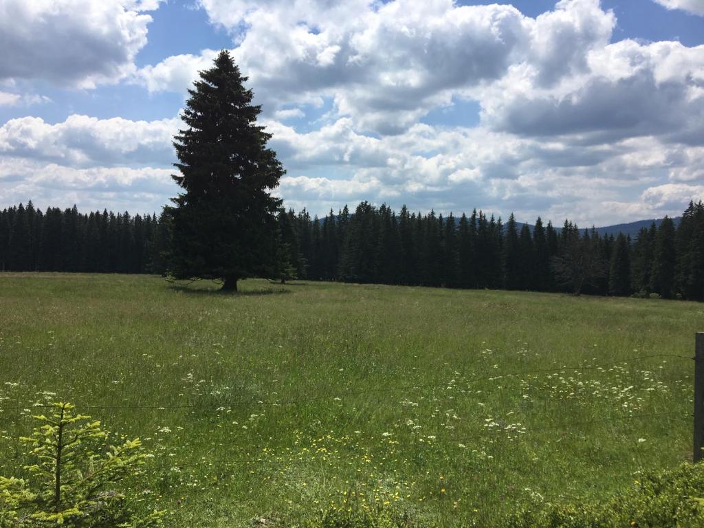 Příroda nedaleko apartmánu