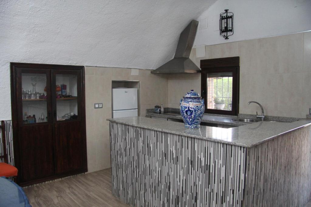 Kuchyň nebo kuchyňský kout v ubytování Cuevas Cañada de las Piedras