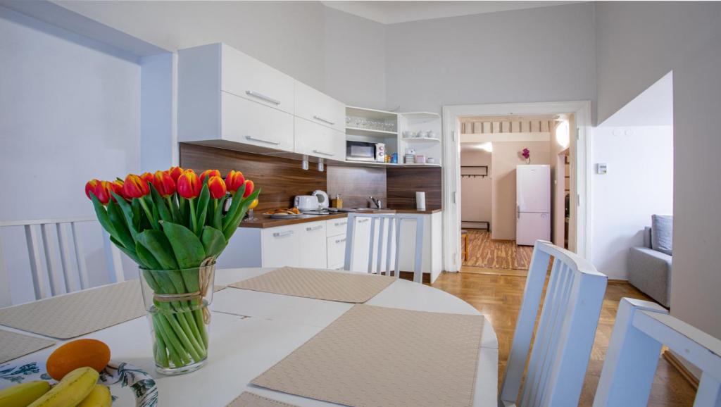 Kuchyň nebo kuchyňský kout v ubytování Michalska Apartment