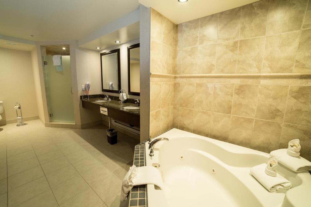 Holiday Inn Hotel & Suites-West Edmonton by IHG - Resim 27