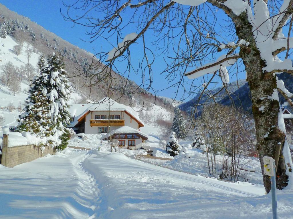Apartment in Black Forest near Ski Lift v zimě