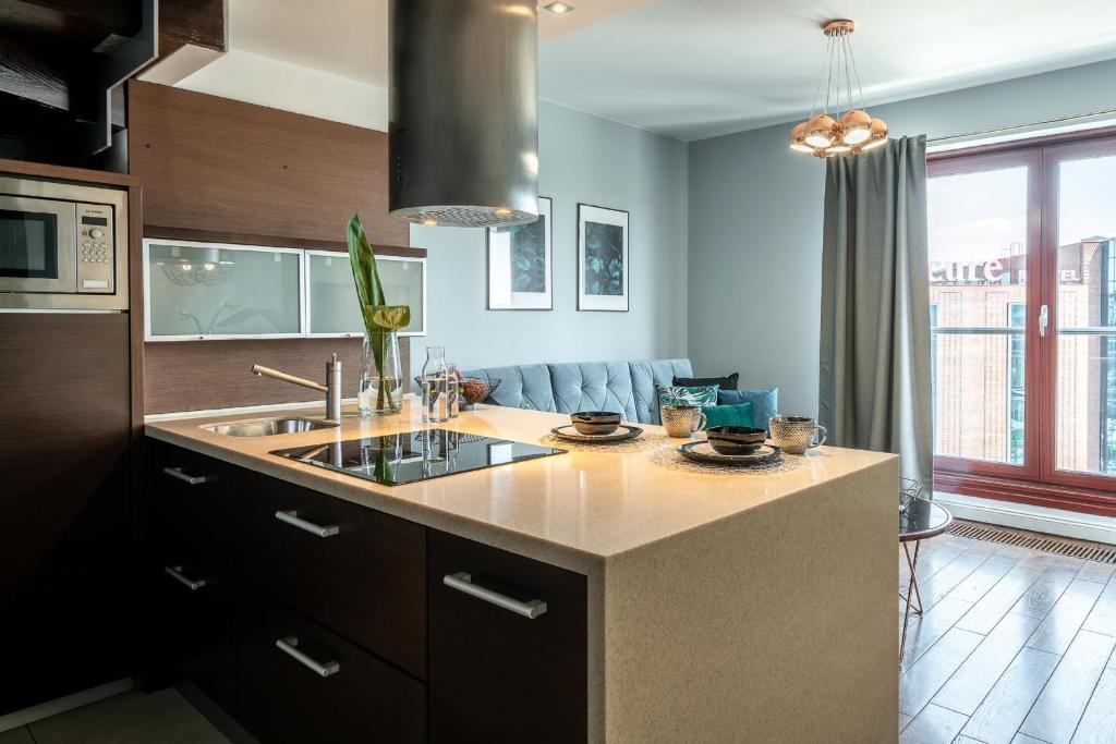 Kuchnia lub aneks kuchenny w obiekcie Apartment 24 Premium Old Town Wroclaw
