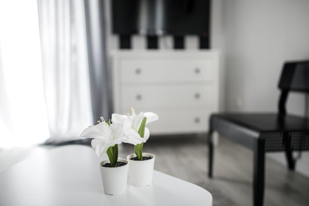 Fotografia z galérie ubytovania Apartament Nadbystrzycka no.14 v destinácii Lublin