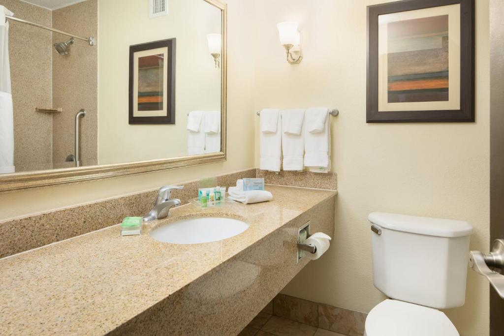 Holiday Inn and Suites Charleston West, an IHG Hotel - Standard King Room