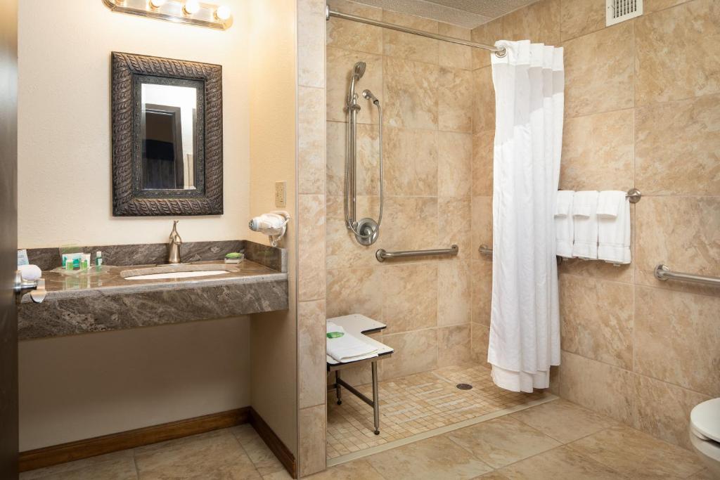 Holiday Inn and Suites Charleston West, an IHG Hotel - Suite Con Una Camera Da Letto Con Divano Letto E Doccia A Rollio Accessibile