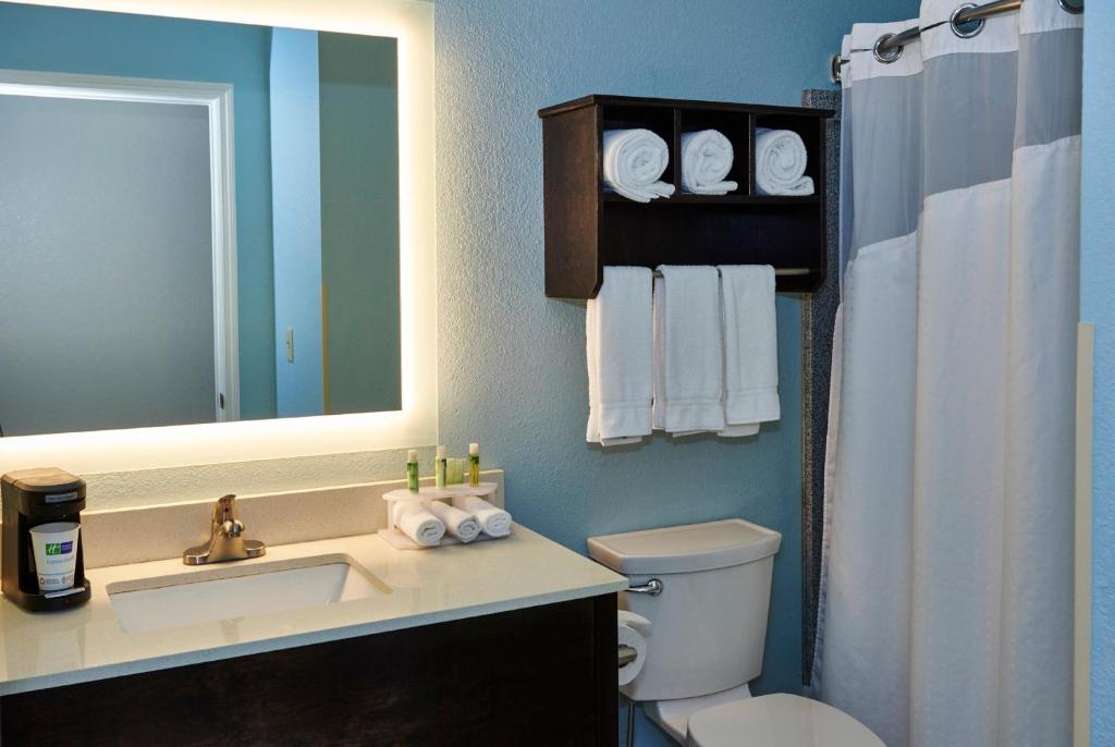 Holiday Inn Express & Suites Birmingham South - Pelham, an IHG Hotel - Salle Roi Standard