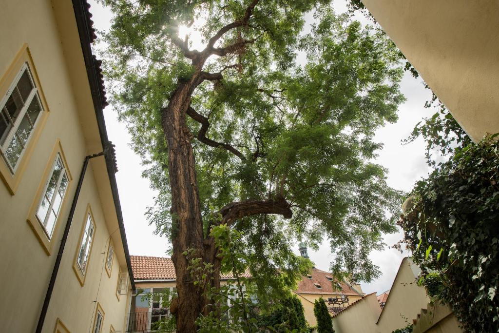 Fotografie z fotogalerie ubytování Monastery Garden Prague v Praze