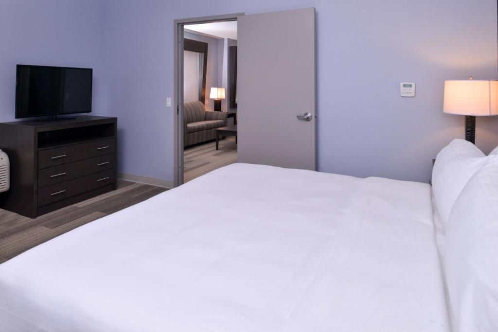 Holiday Inn Express Hotels & Suites Loma Linda by IHG - Suite King