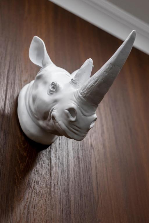 Forrest Apartments & Hostel - Resim 33