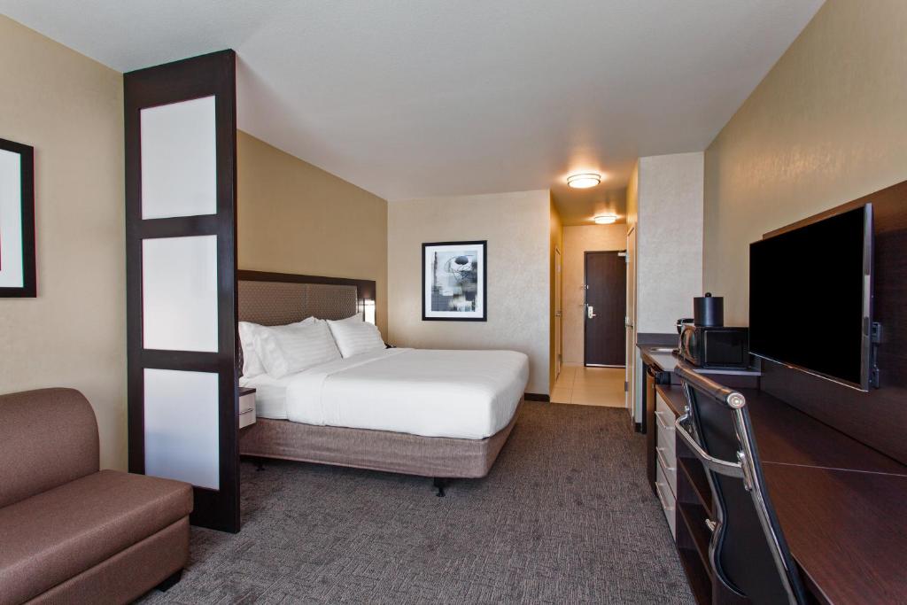 Holiday Inn Express & Suites Anaheim Resort Area by IHG - King Suite