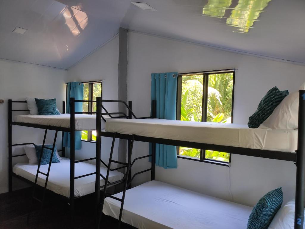 eine Gruppe Etagenbetten in einem Zimmer mit Fenstern in der Unterkunft Uvita Pirates Hostel in Uvita