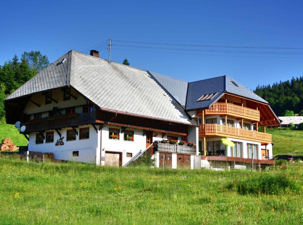 une grande maison sur une colline dans un champ dans l'établissement Bürschtehanse-Hof, à Ibach