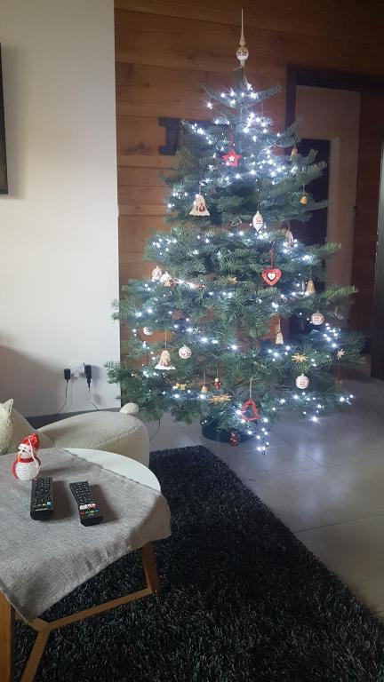 Fotografia z galérie ubytovania Chata Hrozenka WELLNESS v destinácii Nový Hrozenkov