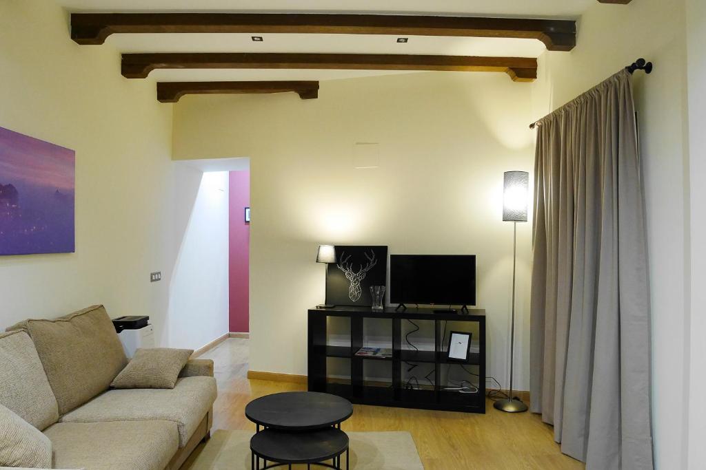 TV a/nebo společenská místnost v ubytování Apartamento El Arco