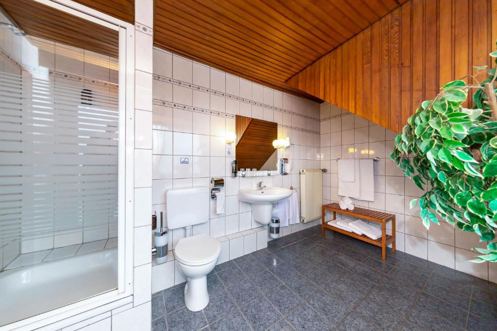 Gasthof zum Siegburger - Double Room With Private Bathroom