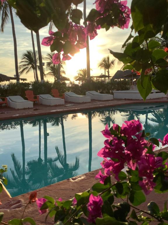 a swimming pool with pink flowers in the foreground at Hotel Arista Bugambilias in Puerto Arista