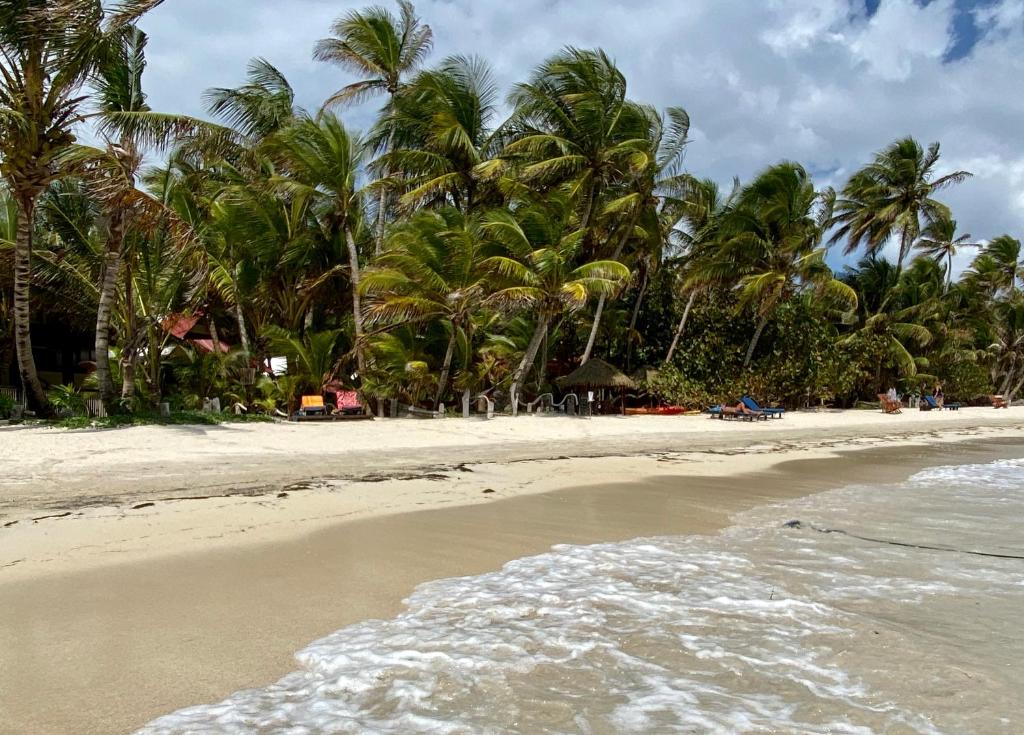 Little Corn Island Beach and Bungalow photo