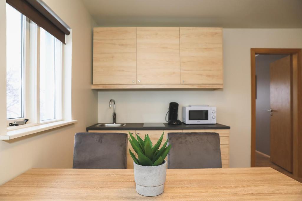 Kuchyň nebo kuchyňský kout v ubytování E18 Apartments