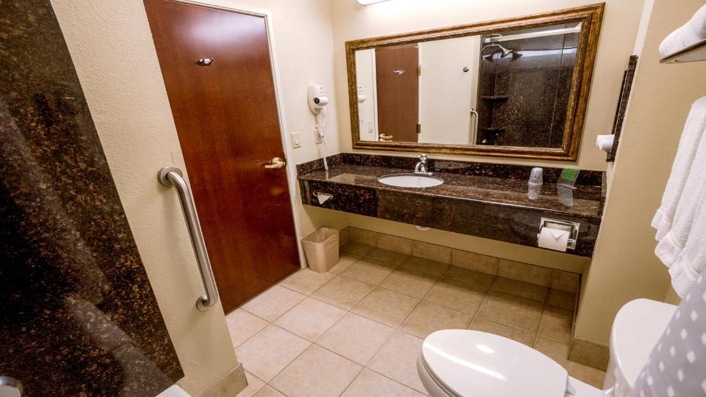 Holiday Inn Express Hotel & Suites Pampa by IHG - Standard King Room