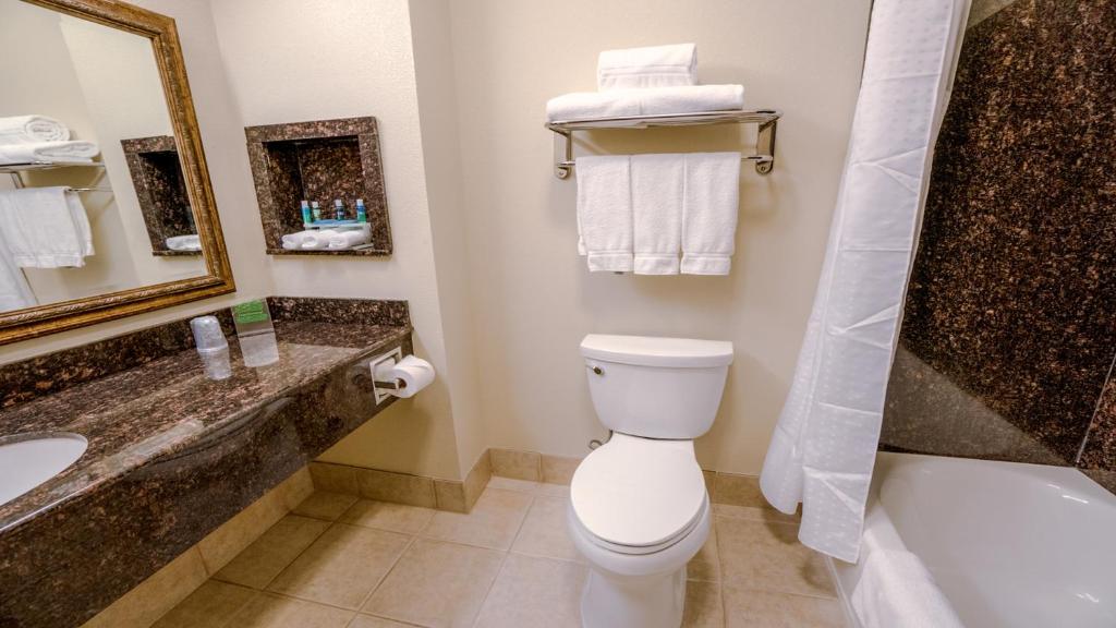 Holiday Inn Express Hotel & Suites Pampa by IHG - King Room - Non-Smoking