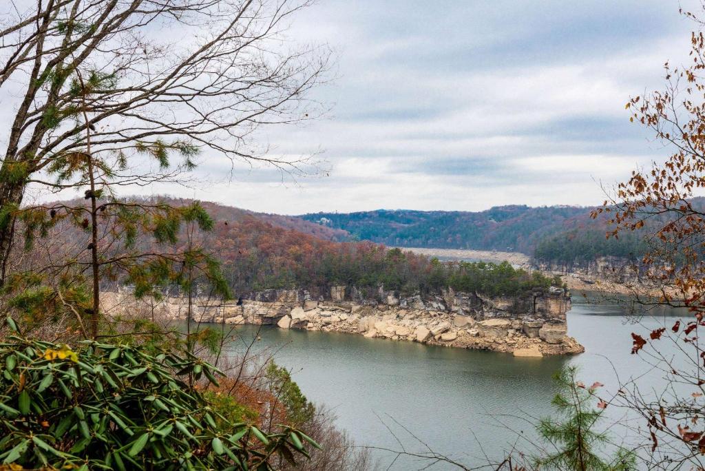 a view of a river with trees in the background at La Quinta Inn & Suites - New River Gorge National Park in Summersville