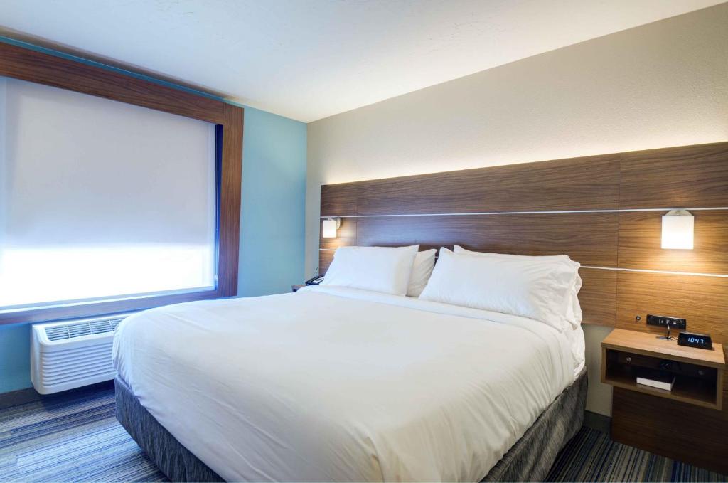 Holiday Inn Express & Suites North Platte by IHG - Standard King Room