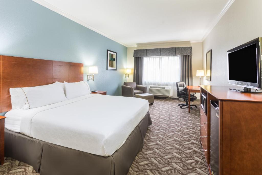 Holiday Inn Express Hotel and Suites Lake Charles by IHG - Standaard Kamer