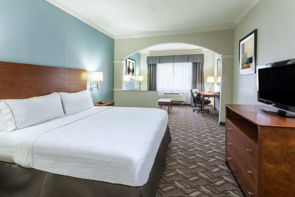 Holiday Inn Express Hotel and Suites Lake Charles by IHG - Suite Met Kingsize Bed En Slaapbank