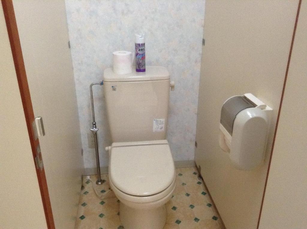 Koupelna v ubytování Lodge Skade
