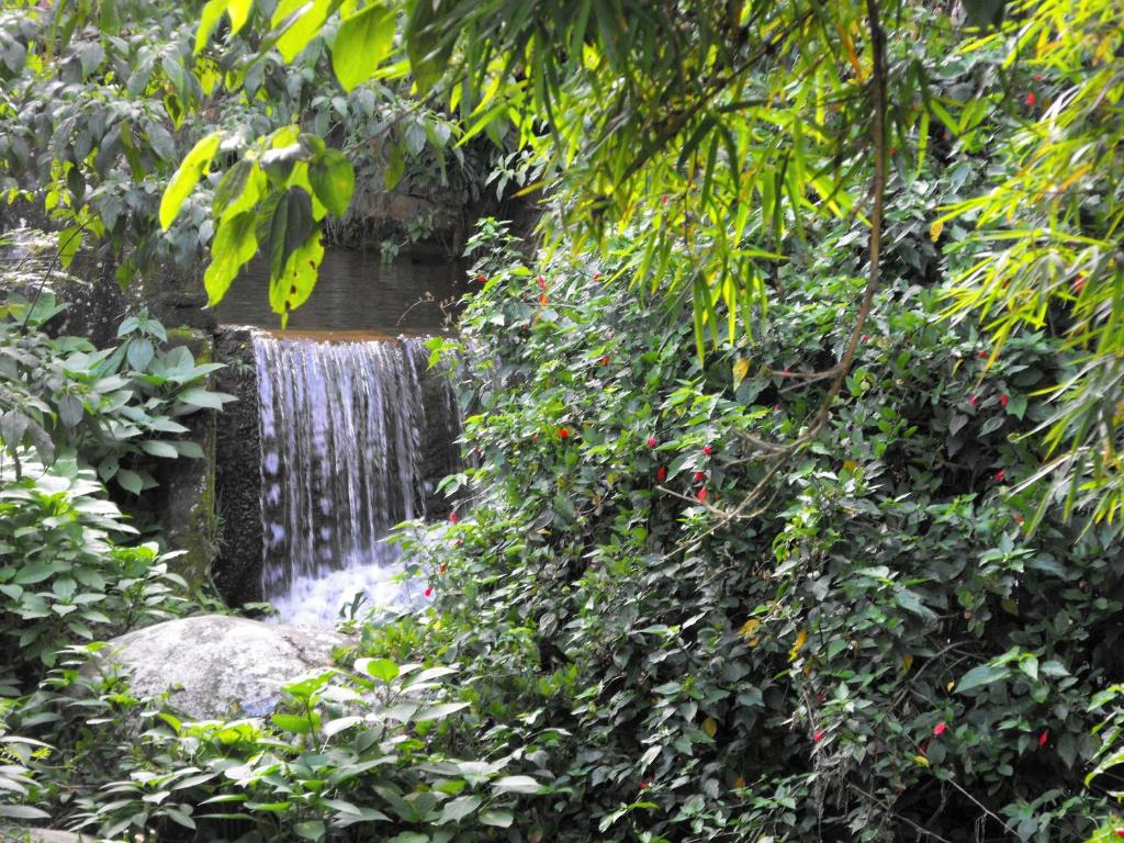  Pousada Cascata dos Amores