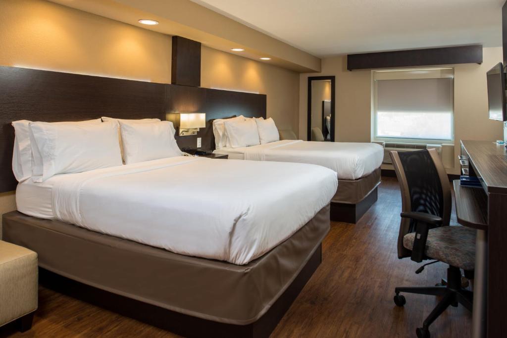 Holiday Inn Express & Suites San Antonio Medical Center North, an IHG Hotel - 